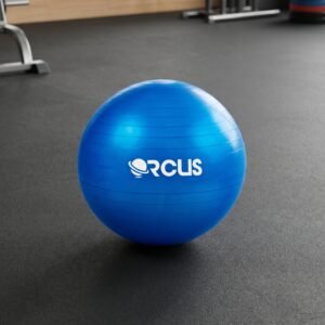 Pelota Pilates 55cm Con Bombín